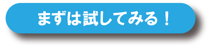 まずは試してみる！